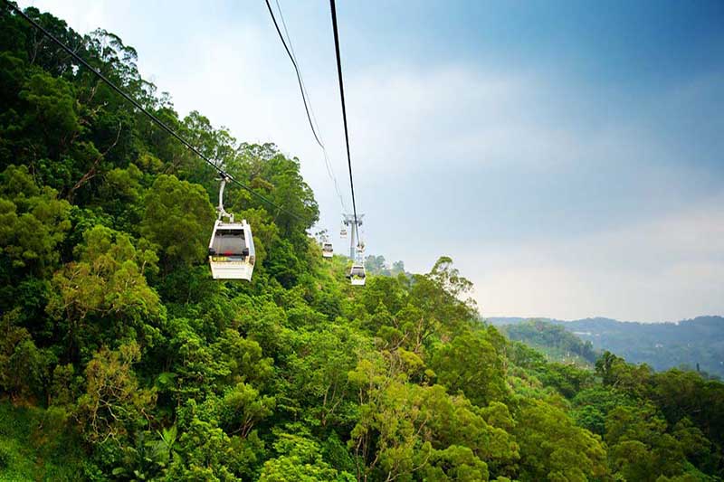 cap treo maokong